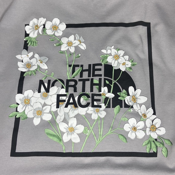 NORTH FACE Mens Himalayan Grey Short-Sleeve T-Shirt w/ Graphic Print, Sz L - Picture 9 of 11